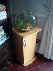Large Fish Bowl and fiter